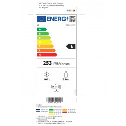 LG | GBB61SWJMN | Refrigerator | Energy efficiency class E | Free standing | Combi | Height 186 cm | No Frost system | Fridge ne