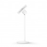 Duux | Fan | Whisper Essence | Stand Fan | Grey | Diameter 33 cm | Number of speeds 7 | Oscillation