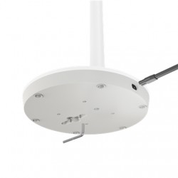 Duux | Fan | Whisper Essence | Stand Fan | Grey | Diameter 33 cm | Number of speeds 7 | Oscillation