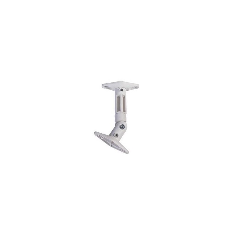 Speaker Accessory|NEWSTAR|SPEAKER-W100|White|SPEAKER-W100 Speaker Accessory|NEWSTAR|SPEAKER-W100|White|SPEAKER-W100