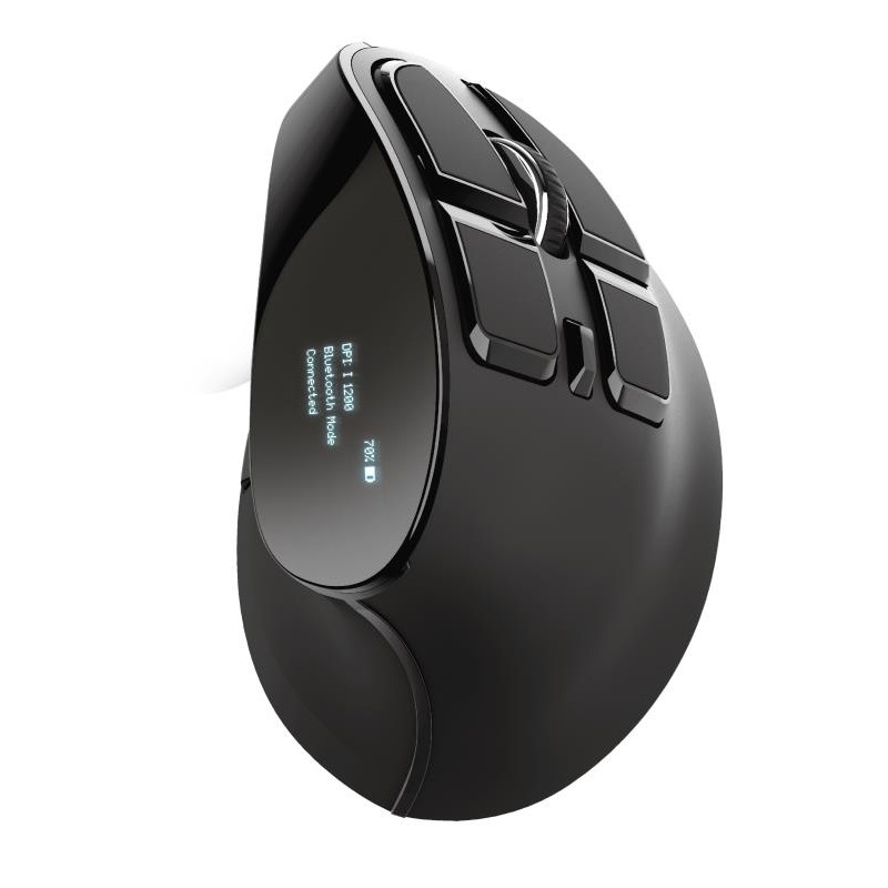 MOUSE USB OPTICAL ERGONOMIC/VOXX 23731 TRUST MOUSE USB OPTICAL ERGONOMIC/VOXX 23731 TRUST