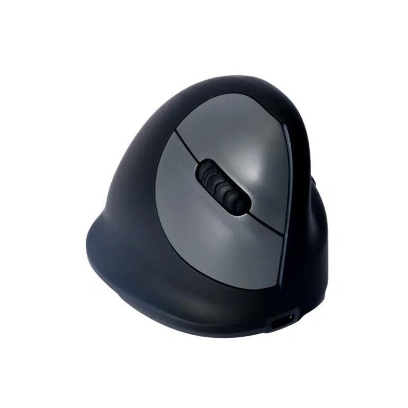 MOUSE USB OPTICAL BREAK/BLACK RGOHBRSWLBL R-GO TOOLS MOUSE USB OPTICAL BREAK/BLACK RGOHBRSWLBL R-GO TOOLS