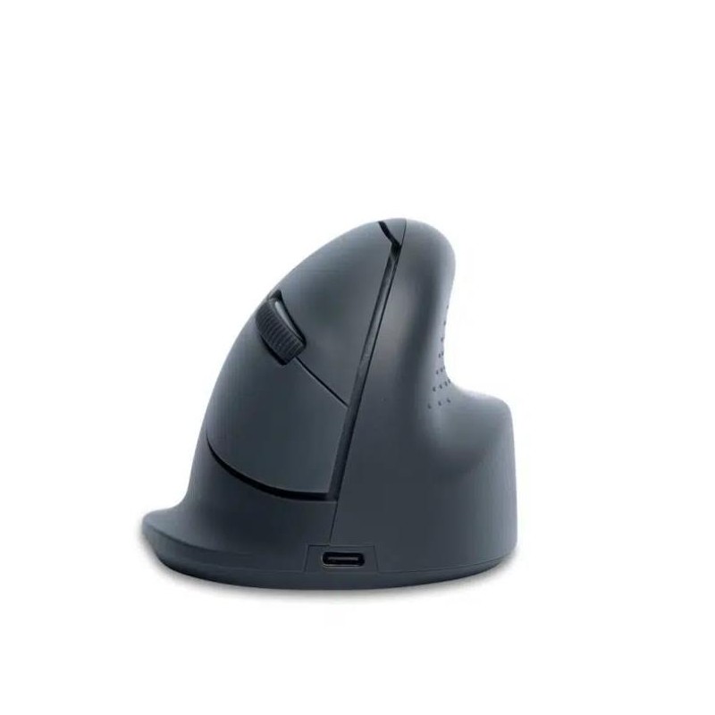 MOUSE USB OPTICAL WRL BASIC/R. GREY RGOHEBAMRWL R-GO TOOLS