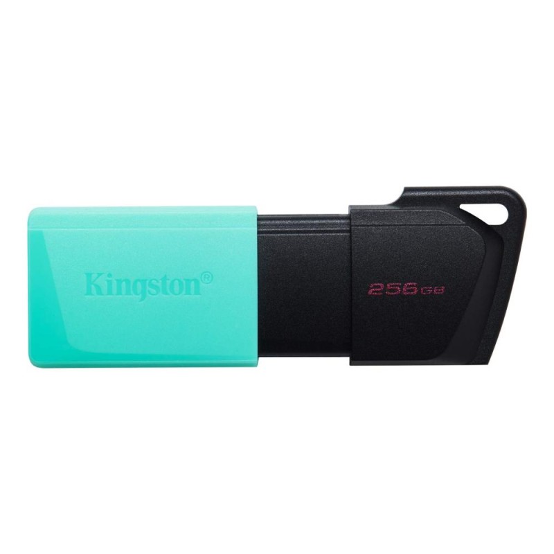 MEMORY DRIVE FLASH USB3.2/256GB DTXM/256GB KINGSTON MEMORY DRIVE FLASH USB3.2/256GB DTXM/256GB KINGSTON