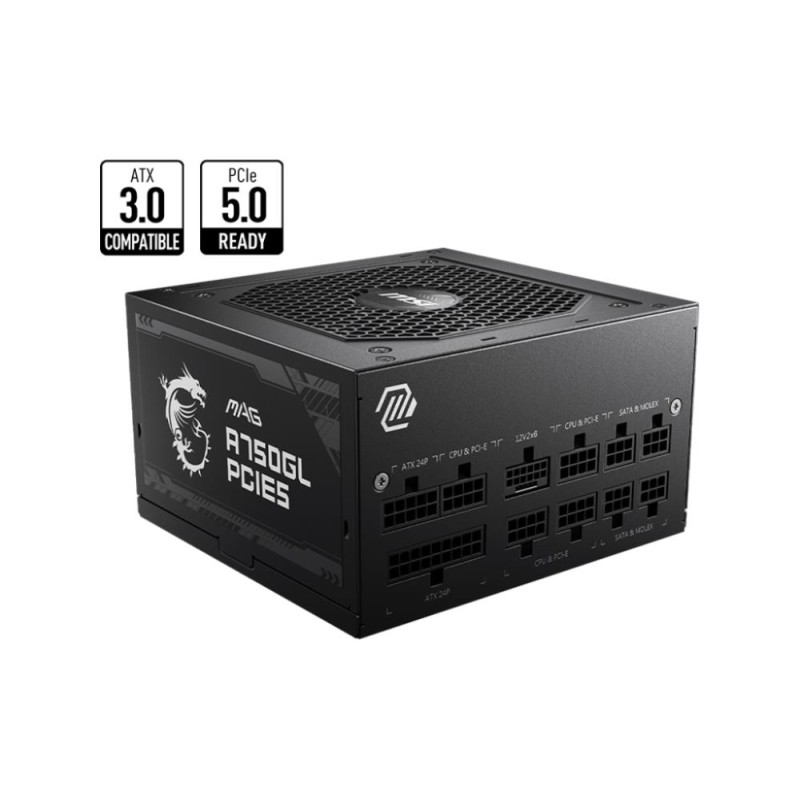 Power Supply|MSI|750 Watts|Efficiency 80 PLUS GOLD|PFC Active|MAGA750GLPCIE5 Power Supply|MSI|750 Watts|Efficiency 80 PLUS GOLD|PFC Active|MAGA750GLPCIE5