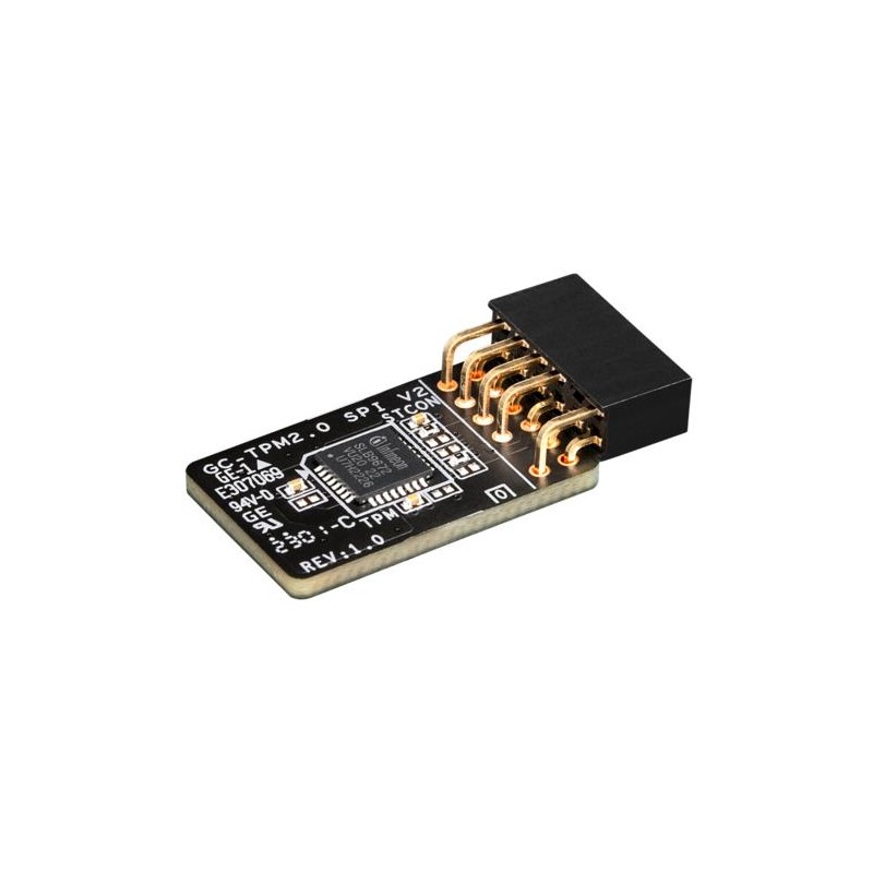 MB ACC TPM MODULE/GC-TPM2.0 SPI V2 1.0 GIGABYTE