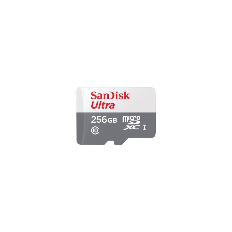MEMORY MICRO SDXC 256GB UHS-I/SDSQUNR-256G-GN6TA SANDISK
