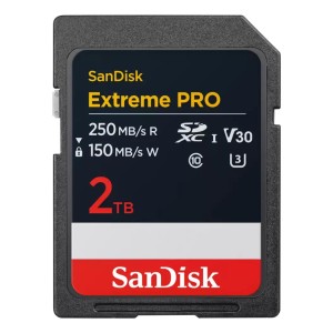 MEMORY SDXC 2TB UHS-1/SDSDXXD-2T00-GN4IN SANDISK