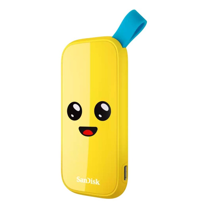 External SSD|SANDISK|1TB|USB 3.2|Read speed 800 MBytes/sec|SDSSDE30-1T00-G25F