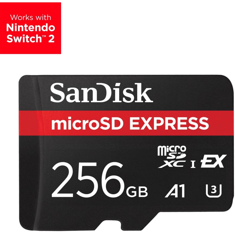 MEMORY MICRO SDXC 256GB UHS-I/SDSQXFN-256G-GN4NN SANDISK