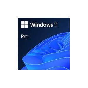 Software|MICROSOFT|Win 11 Pro GGK 64Bit Eng Intl 1pk DSP ORT OEI DVD|Win Pro|OEM|English|4YR-00316