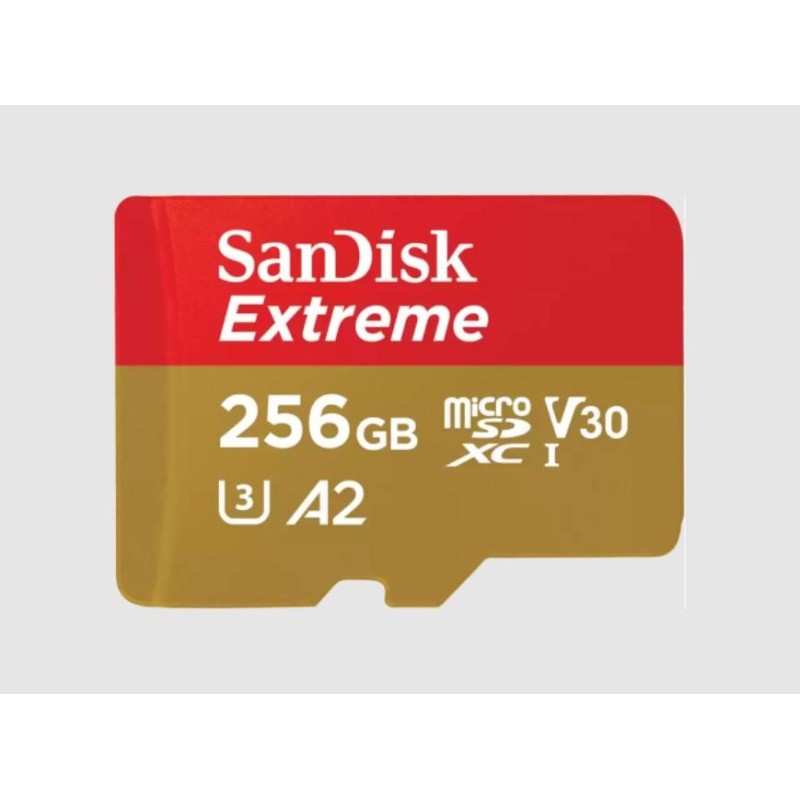 MEMORY MICRO SDXC 256GB UHS-I/W/A SDSQXAV-256G-GN6MA SANDISK