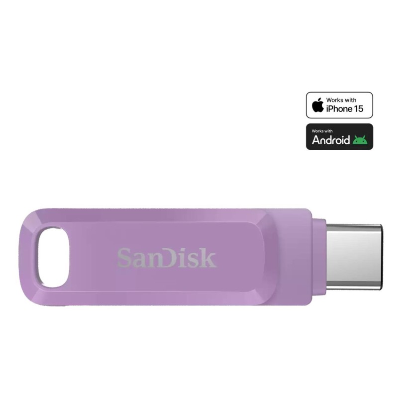 MEMORY DRIVE FLASH USB-C 1TB/SDDDC3-1T00-G46L SANDISK