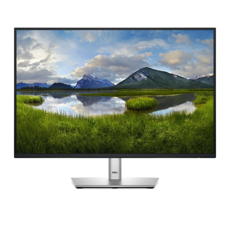 5397184821671LCD Monitor|DELL|P2425E|24"|Business|Panel IPS|1920x1200|16:10|100Hz|Matte|8 ms|Swivel|Pivot|Height adjustable|Tilt|210-BMJF