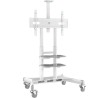 TV SET ACC MOBILE STAND/50-86"/WHITE TS1881-W ONKRON