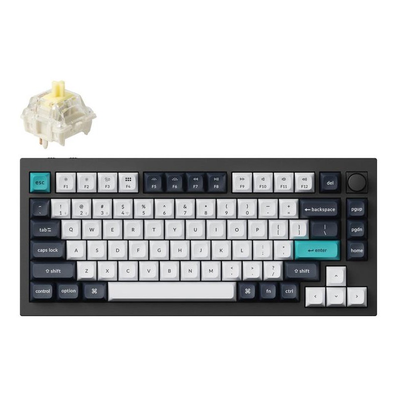 4895248863328WRL Q1 MAX RGB CARBON BLACK Q1M-M4