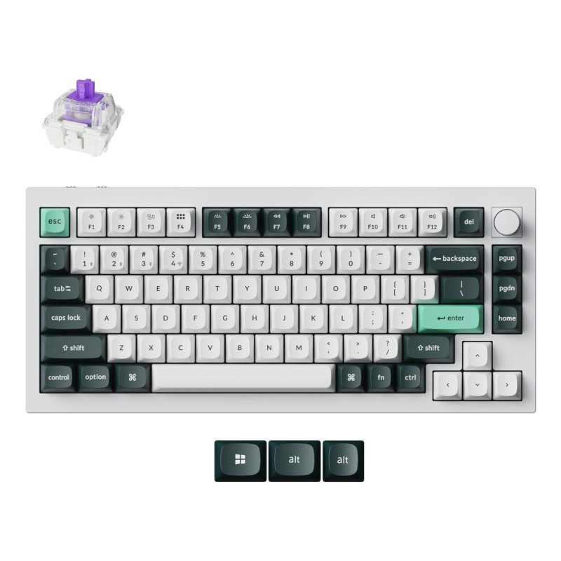 4895248871354WRL Q1 HE RGB SHELL WHITE Q1H-P1
