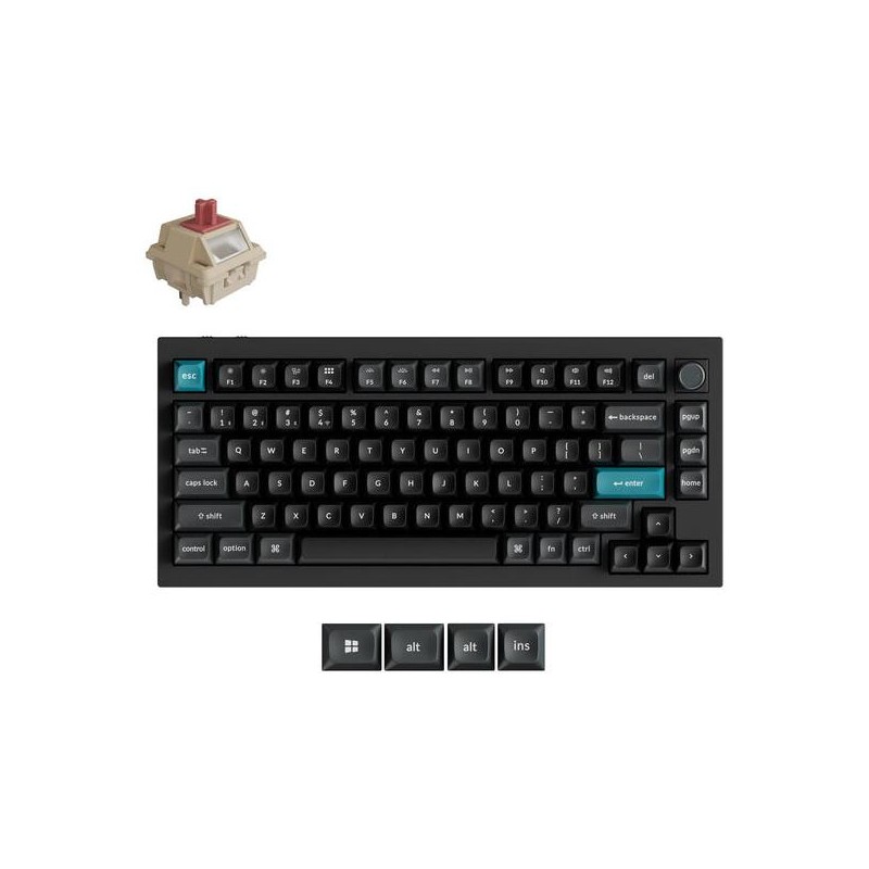 4894979042835WRL Q1 ULTRA BLACK Q1U-M1