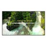 DISPLAY LCD 55"/55UL3Q-E LG