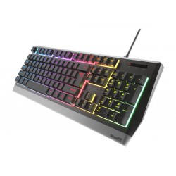 Genesis Rhod 300 RGB Gaming keyboard Spill resistant Durable body Multimedia Keys Non-slip rubber feet Folding feet RGB LED ligh