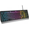 Genesis Rhod 300 RGB Gaming keyboard Spill resistant Durable body Multimedia Keys Non-slip rubber feet Folding feet RGB LED ligh