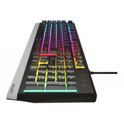 Genesis Rhod 300 RGB Gaming keyboard Spill resistant Durable body Multimedia Keys Non-slip rubber feet Folding feet RGB LED ligh