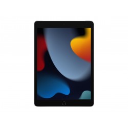 Apple iPad 10.2" 9th Gen 10.2 " Silver Retina IPS LCD A13 Bionic 3 GB 256 GB 4G Wi-Fi Front camera 12 MP Rear camera 8 MP Blueto