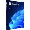 Microsoft Windows 11 Pro HAV-00163 USB Flash drive Full Packaged Product (FPP) 64-bit English