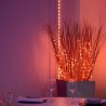 Twinkly Dots Smart LED Lights 60 RGB (Multicolor), USB Powered, 3m, Transparent Twinkly Dots Smart LED Lights 60 RGB (Multicolor