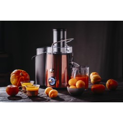 Adler Juicer AD 4129 Type Juicer maker Copper 1000 W Number of speeds 2