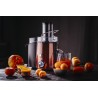 Adler Juicer AD 4129 Type Juicer maker Copper 1000 W Number of speeds 2