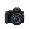 Megapixel 24.1 MP | Optical zoom x | Image stabilizer | ISO 25600 | Display diagonal 3 " | Wi-Fi | Video recording | Automatic, 
