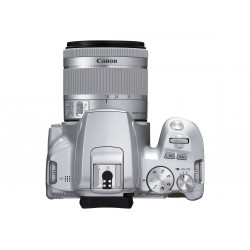 Megapixel 24.1 MP | Optical zoom x | Image stabilizer | ISO 25600 | Display diagonal 3 " | Wi-Fi | Video recording | Automatic, 