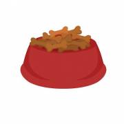 Watering and Feeding